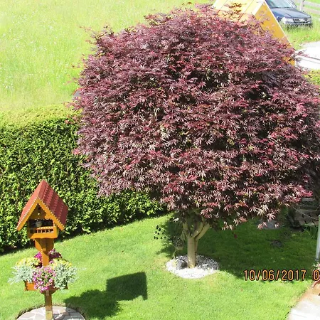 Haus Egger Rehoboth Beach